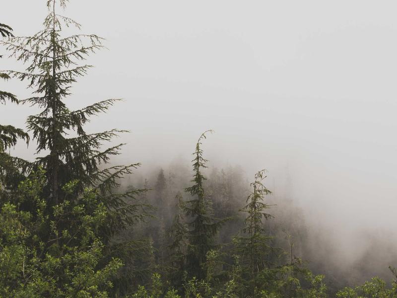 DC专业养号防封<br>新号老号防风控稳定权重维护